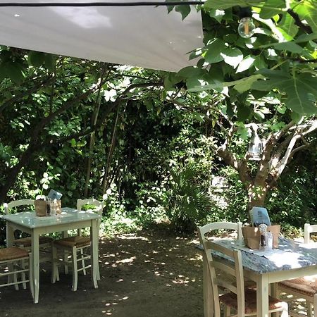 Labottega - Camere Marina di Pietrasanta Kültér fotó